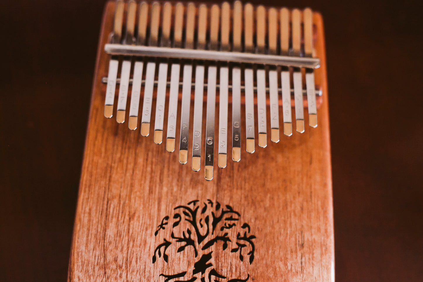 KALIMBA 17 Taustiņu DELUXE komplekts (ar cieto somu un pilno aksesuāru komplektu)