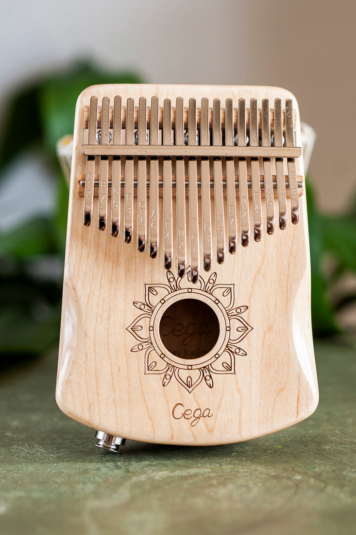 Professional Hollow Body Electric Kalimba Solid Maple Wood 17 Keys Comes with Hard Case and Accessories