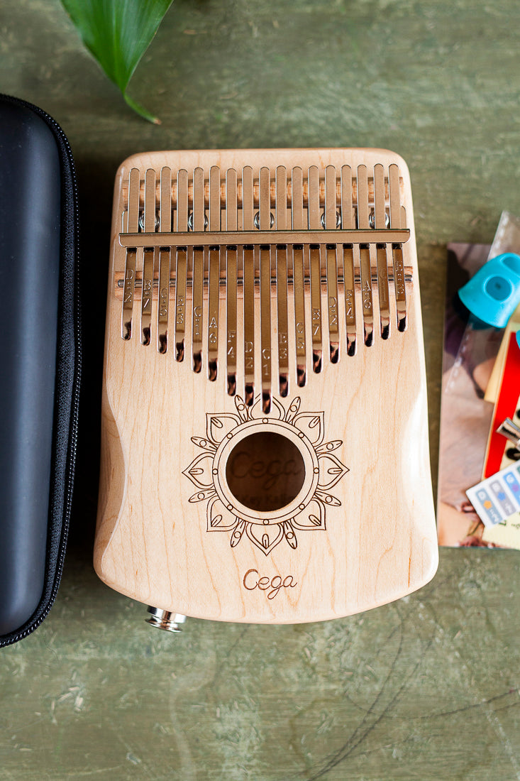 Professional Hollow Body Electric Kalimba Solid Maple Wood 17 Keys Comes with Hard Case and Accessories