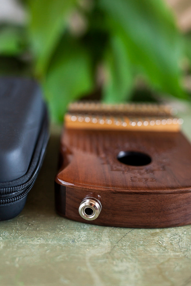 Professional Hollow Body Electric Kalimba Walnut Wood 17 Keys Comes with Hard Case and Accessories