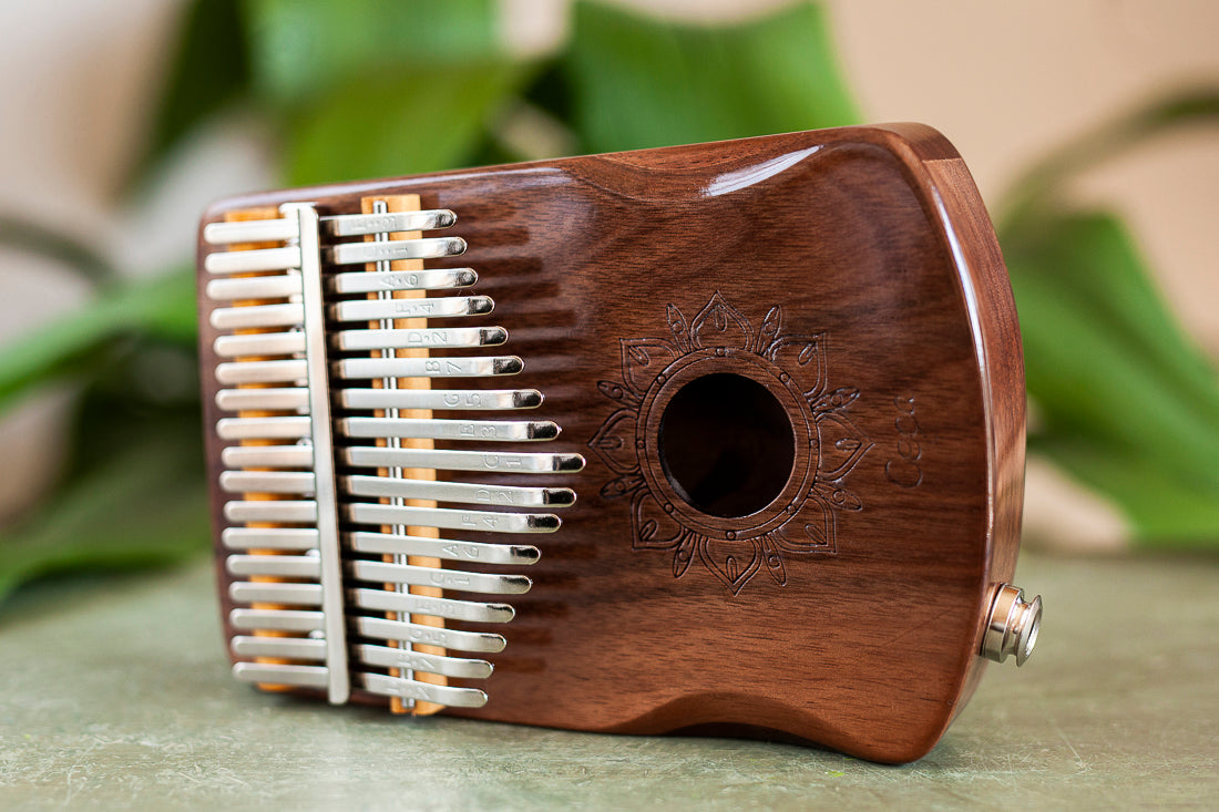Professional Hollow Body Electric Kalimba Walnut Wood 17 Keys Comes with Hard Case and Accessories
