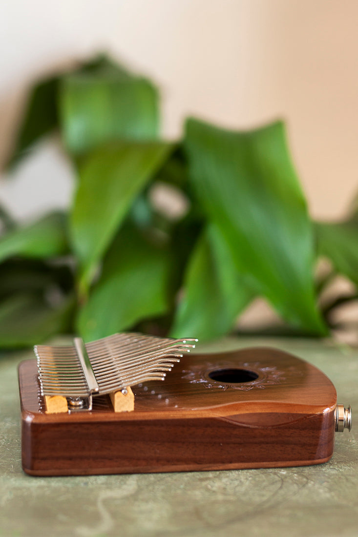 Professional Hollow Body Electric Kalimba Walnut Wood 17 Keys Comes with Hard Case and Accessories