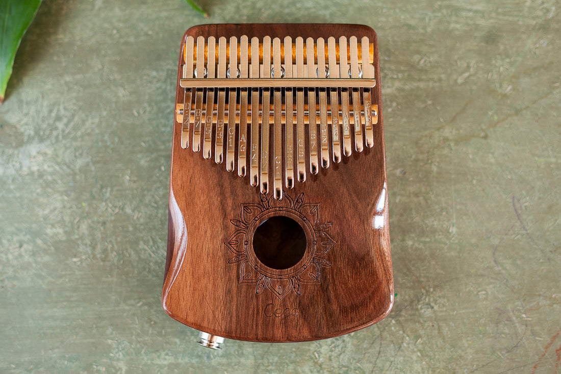 Professional Hollow Body Electric Kalimba Walnut Wood 17 Keys Comes with Hard Case and Accessories