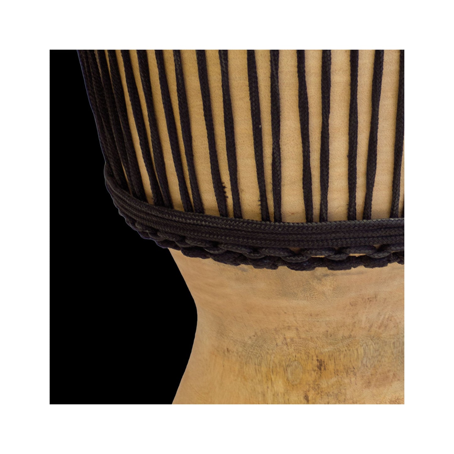 Basa Djembe Master Basswonder