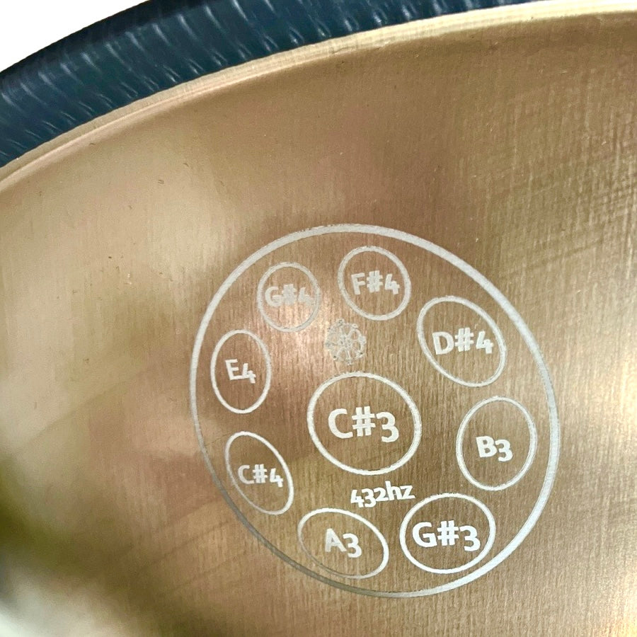 RADI VERSE Profesionālais Handpans 9 Notis 22" Low C# AnnaZiska 432hz