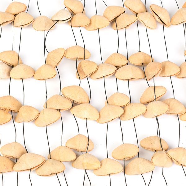 Sela seed chime lietus skaņu Šeikeris Kenari XL