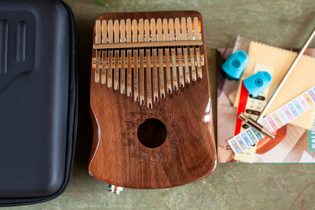Professional Hollow Body Electric Kalimba Walnut Wood 17 Keys Comes with Hard Case and Accessories