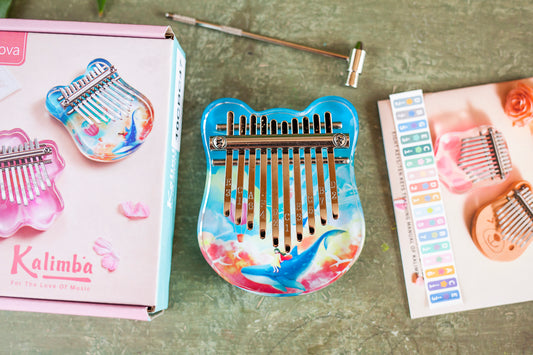 Portable 10 Key Acrylic Kalimba with Engraved Numbers and Whale Design, Health-Friendly and Easy to Play + Tuning Hammer