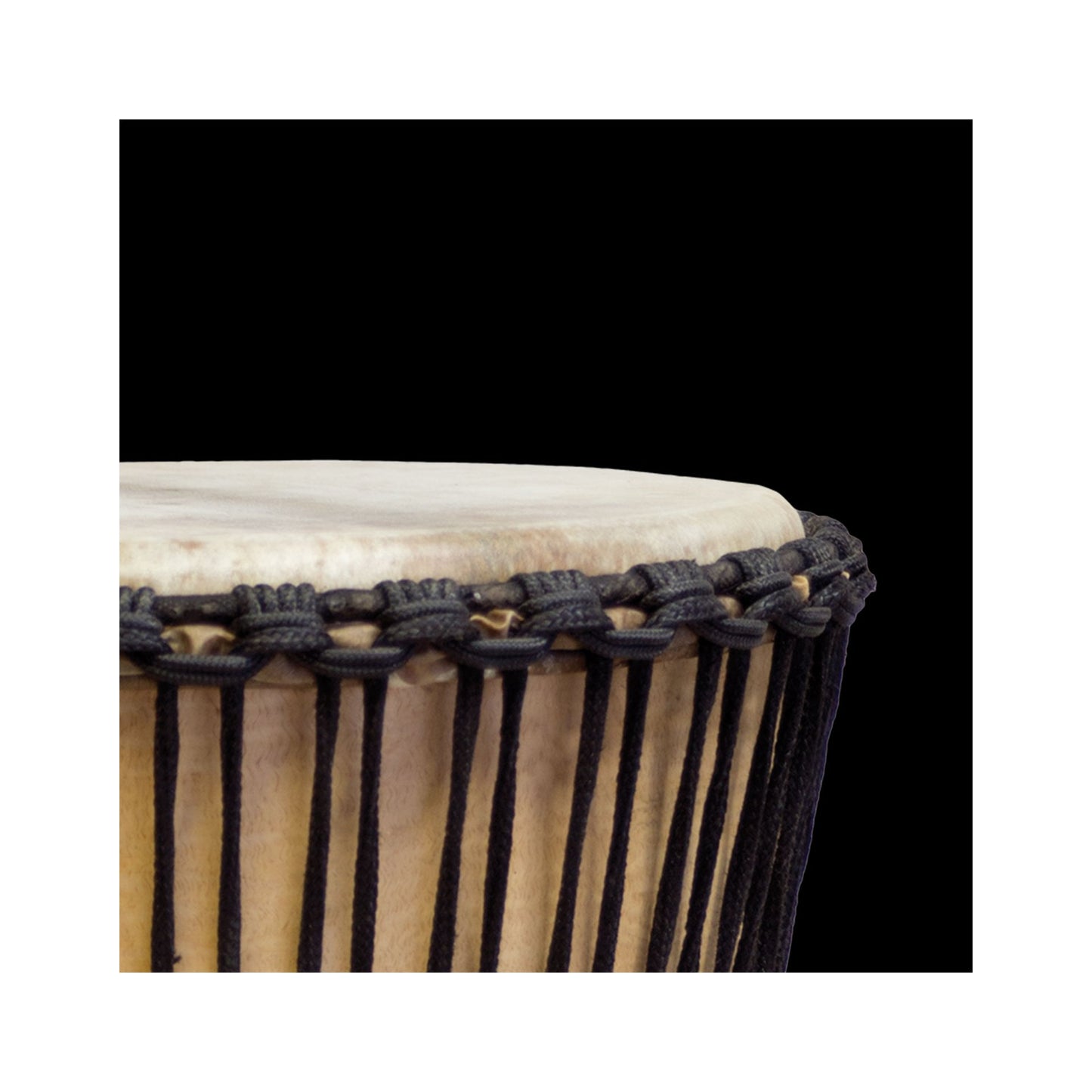 Basa Djembe Master Basswonder