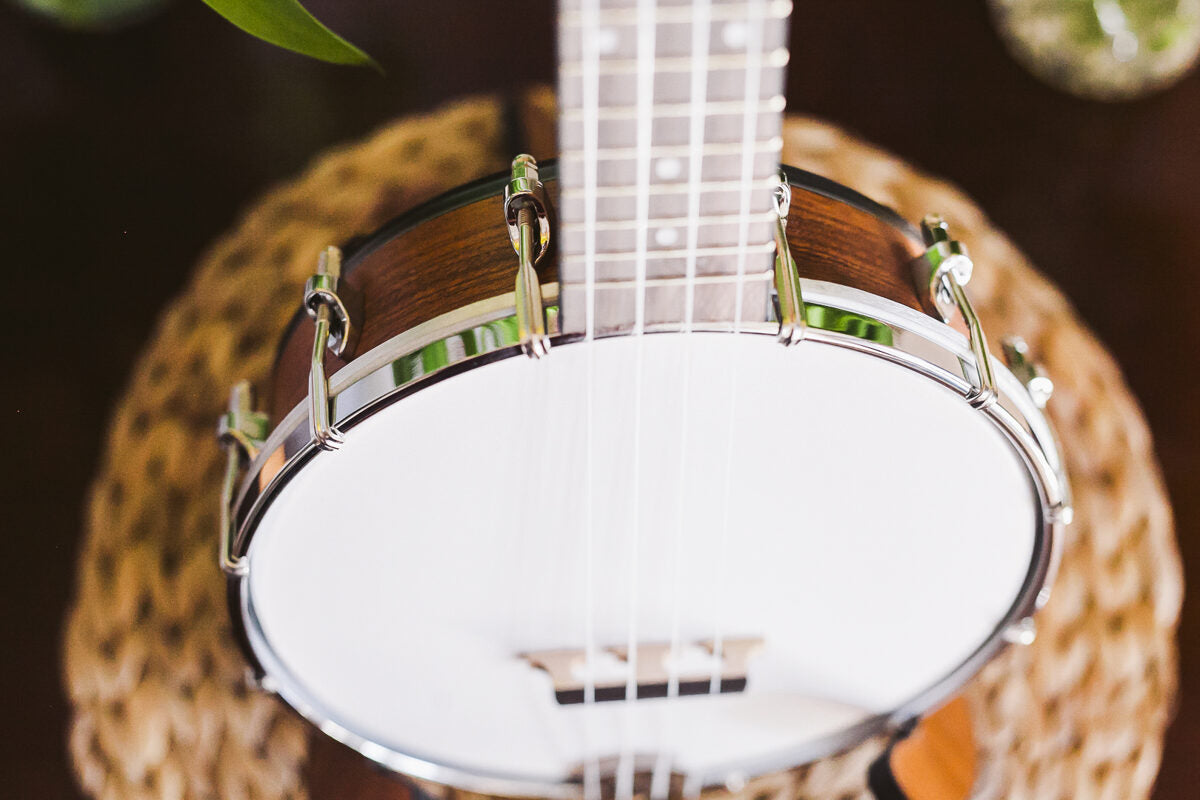 Banjolele - Ukulele Banjo